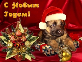 С наступающим Новым Годом и Рождеством!!!