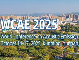 VII конференция WCAE-2025